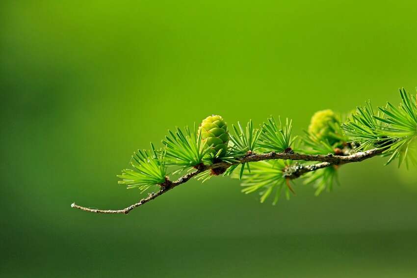 鲜花包装纸(花束外面的纸怎么做)