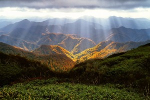 管道阻火器