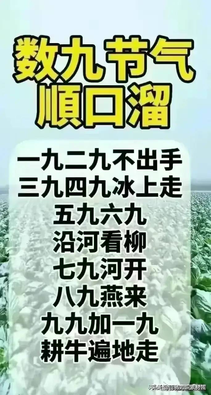 唐高祖李渊22个儿子结局，有人整理出来了，看完大长知识。