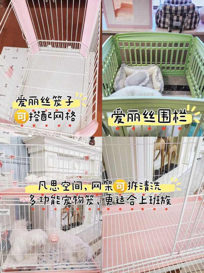 幼犬到家需要准备什么物品？